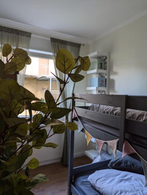 Wohnung Mit Direktem Seeblick Möhnesee المظهر الخارجي الصورة